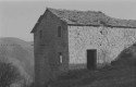 0_1950787_21944.jpg