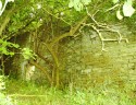 0_1950902_21944.jpg
