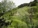 0_1950903_21944.jpg