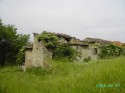 0_1950904_21944.jpg