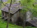 0_1950966_21944.jpg