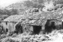 0_1953371_21944.jpg