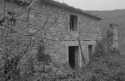 0_1953392_21944.jpg