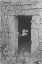 0_1953393_21944.jpg