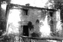 0_1953398_21944.jpg