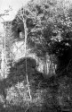 0_1953400_21944.jpg