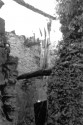 0_1953402_21944.jpg