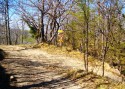0_3945252_21944.jpg