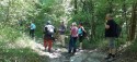 0_5533054_21944.jpg